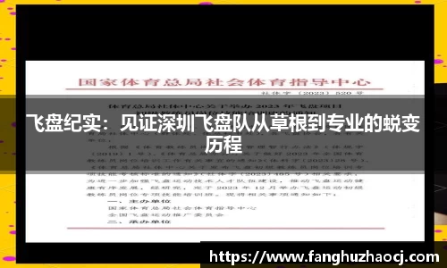 飞盘纪实：见证深圳飞盘队从草根到专业的蜕变历程